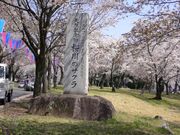 磯部桜川公園の写真2
