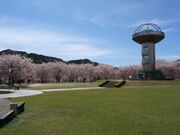 十王パノラマ公園の写真2