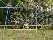 羽黒山公園の写真2