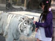 東武動物公園の写真4