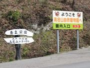 高宕山自然動物園の写真2