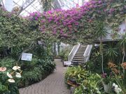 富山県花総合センター(エレガガーデン)の写真1