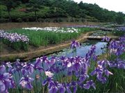 柳田植物公園ふれあい館の写真2