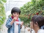 はままつフルーツパーク時之栖の写真3