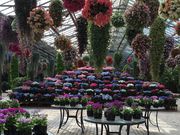 加茂荘花鳥園の写真3
