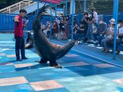 ゼロ距離水族館 伊勢シーパラダイスの写真2
