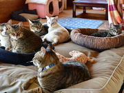 綾部ふれあい牧場の写真2