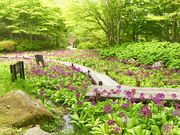 六甲高山植物園の写真2