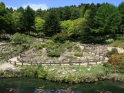 六甲高山植物園の写真4