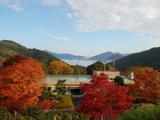 ひろしま遊学の森 広島県緑化センター・県立広島緑化植物公園の写真3