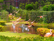 宮崎市フェニックス自然動物園の写真2