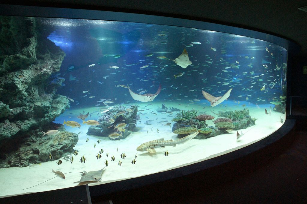 サンシャイン水族館