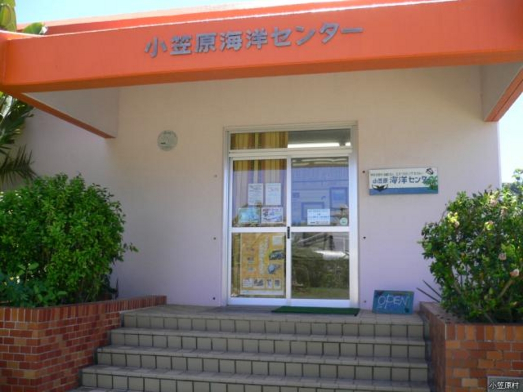 小笠原海洋センター