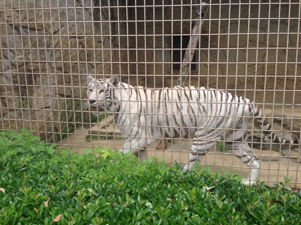 大牟田市動物園