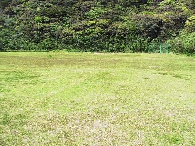 総合グランド多目的広場の写真1