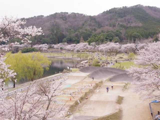 土師ダムスポーツランド