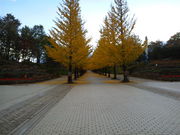 柳津町運動公園の写真2