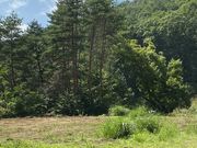 New-sakuraresortの写真2