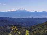New-sakuraresortの写真4