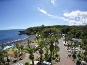 伊豆海洋公園ダイビングセンターの写真4