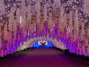 御殿場高原時之栖の写真2