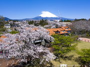 御殿場高原時之栖の写真4