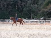 尾高高原乗馬倶楽部ラ・シュボーシェの写真3