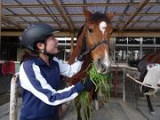 群馬県馬事公苑の写真2