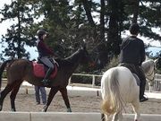 群馬県馬事公苑の写真3