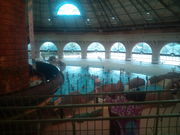 アクアパラダイス パティオの写真3