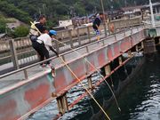 海釣り公園みかたの写真2