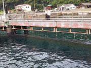 海釣り公園みかたの写真3