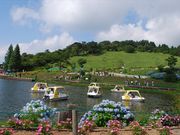 六甲山アスレチックパーク GREENIAの写真2