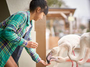 阿蘇ファームランドの写真2