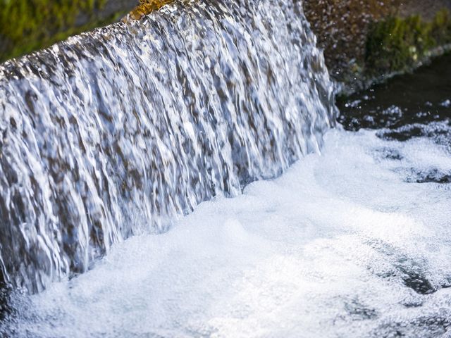 大雪山からの冷たく綺麗な雪解け水で育てた魚は安心安全美味しい魚です。_大雪つりぼり