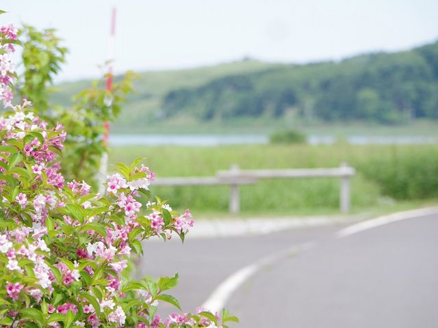 久種湖