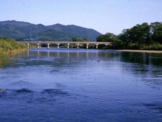 猿ヶ石川の写真1