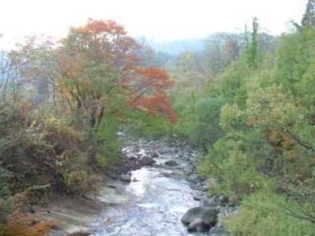 早口川の写真1