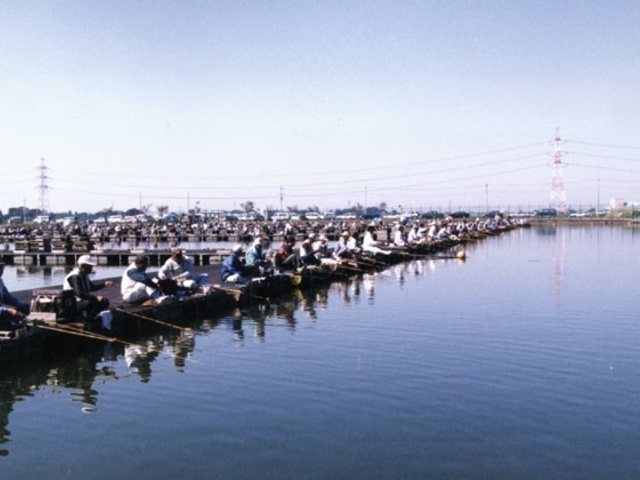 幸手市営釣場神扇池の写真1