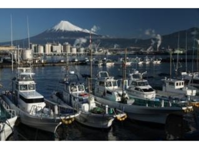 田子の浦漁港