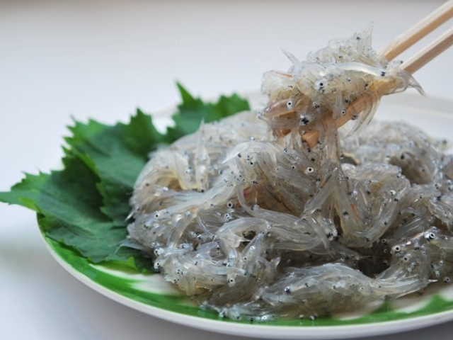 田子の浦漁港