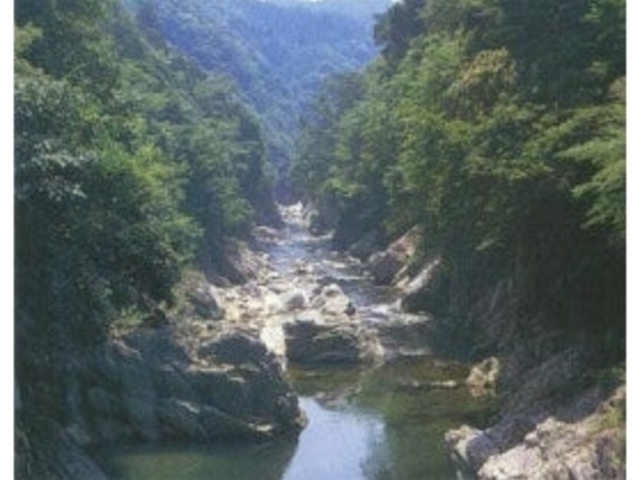 振草川の写真1