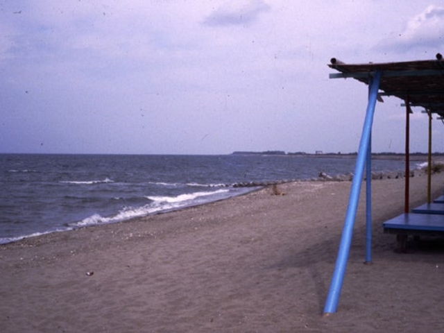 松名瀬海岸