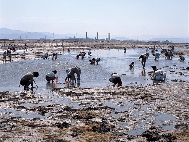 松名瀬海岸
