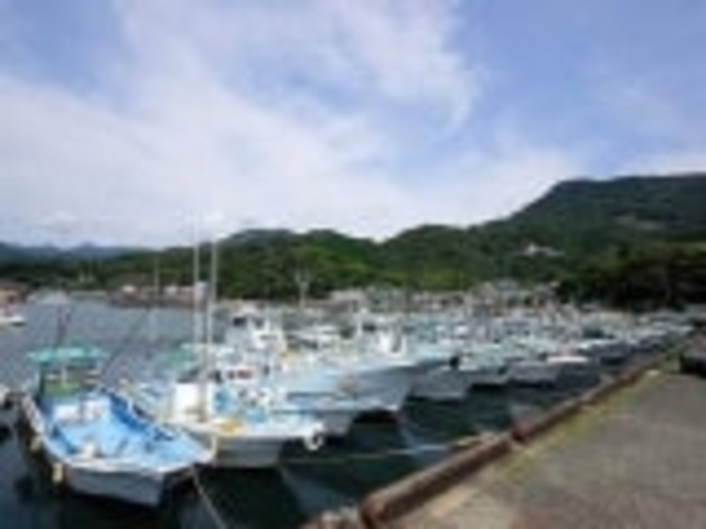 尾鷲湾周辺_尾鷲湾周辺