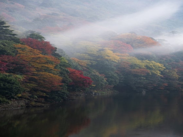愛知川上流の写真1