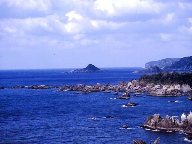 すさみ枯木灘海岸_すさみ枯木灘海岸