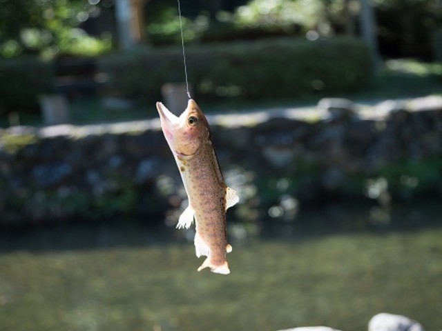 芦谷峡やまめの里