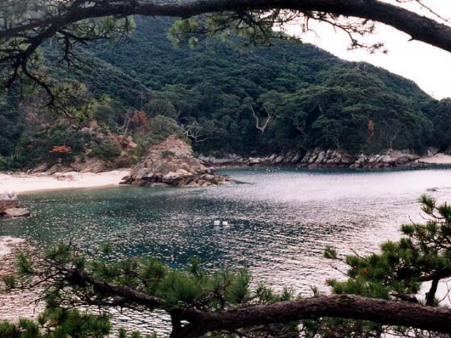 大島磯の写真1