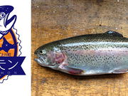 大雪つりぼりの写真2